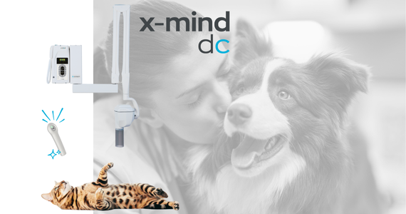 ACTEON VETERINARY / Pet care solutions / Imaging, Equipment ...